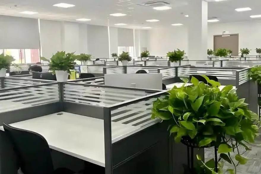 看球网 从赛程表到人物志:看球网老读者才知道的观赛检索门道